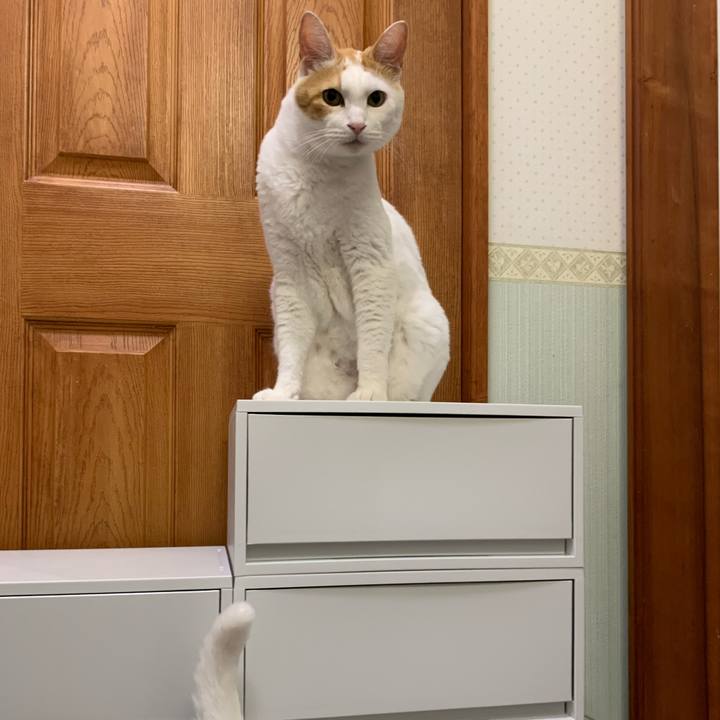 2c57e5e3 e675 4d84 9c85 65055798437c 1629812526064