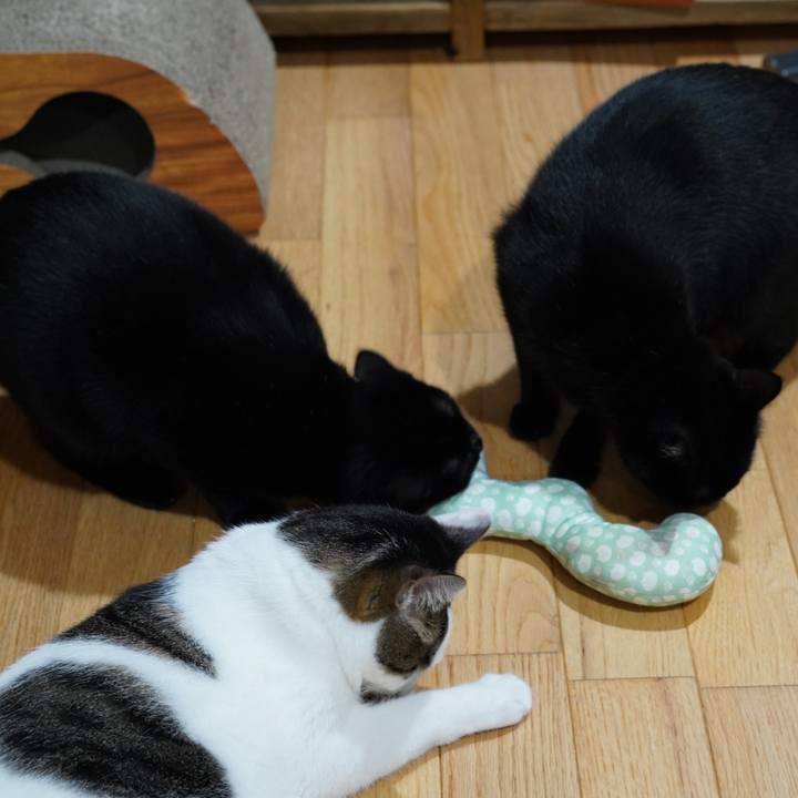 2c57fa72 7a00 41fb 891e 8311d6bf4fb5 1568953660886