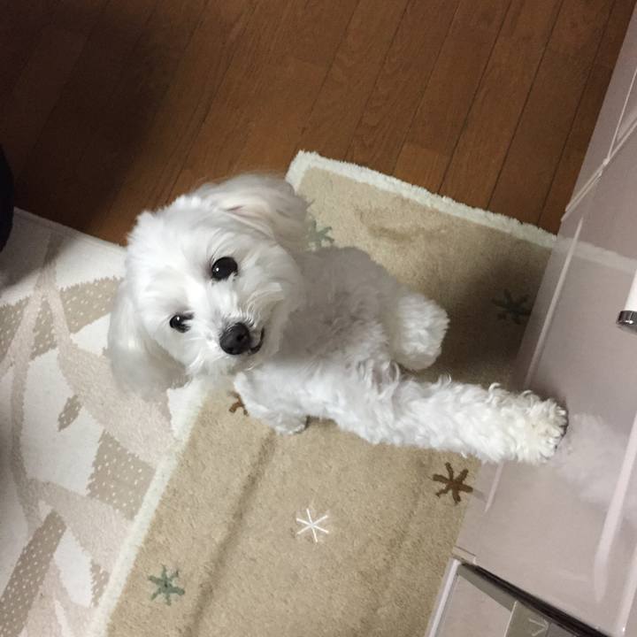 2c581c55 b220 425f aa56 ccbd5a14c805 1546778436687