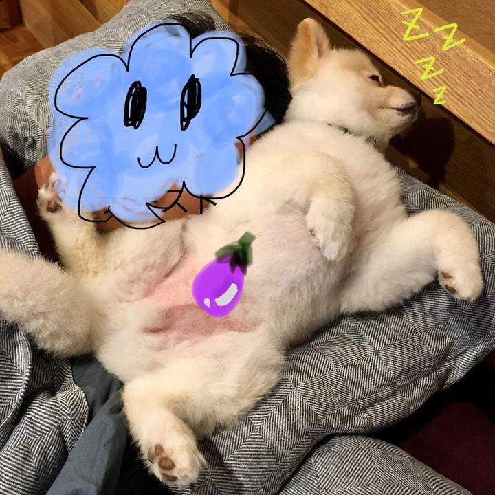 2c581d33 8462 4902 b6e2 18d8b8db703e 1594469729163