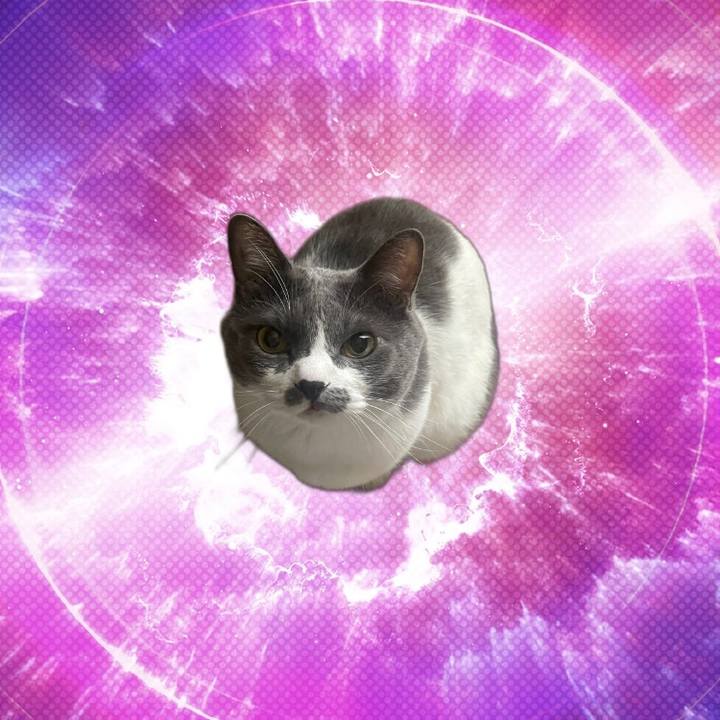 2c58249b e99c 4e16 93bb 9ef2e997a241 1755099021979