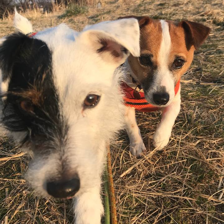 2c585fa2 78f3 4de5 8bf0 a83bca701dd5 1519375369043