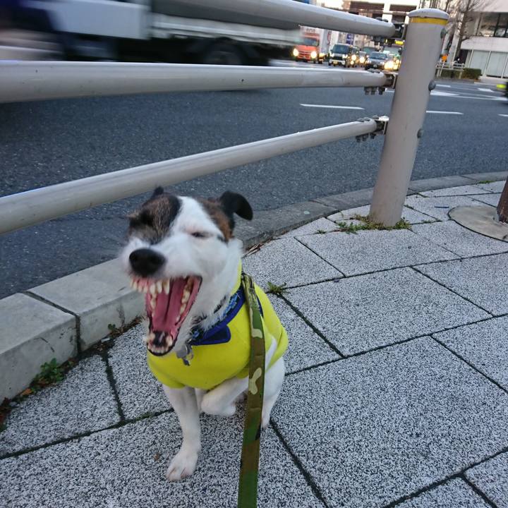 2c587766 2638 47c5 94ee 756f2a763b1e 1519939023278