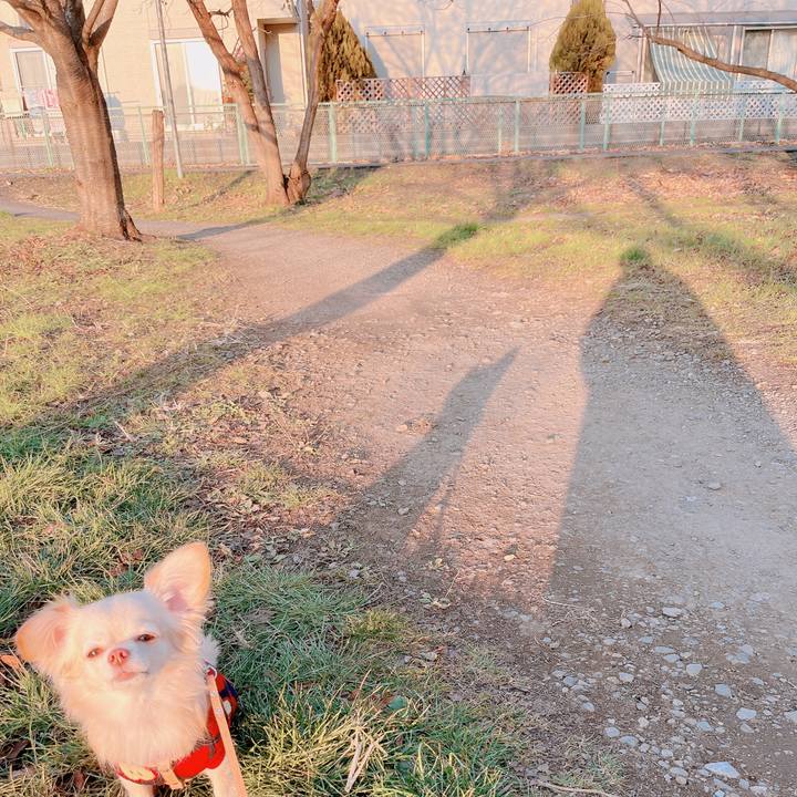 2c588726 af28 4a36 bf74 87ec13f82cb8 1672226540297