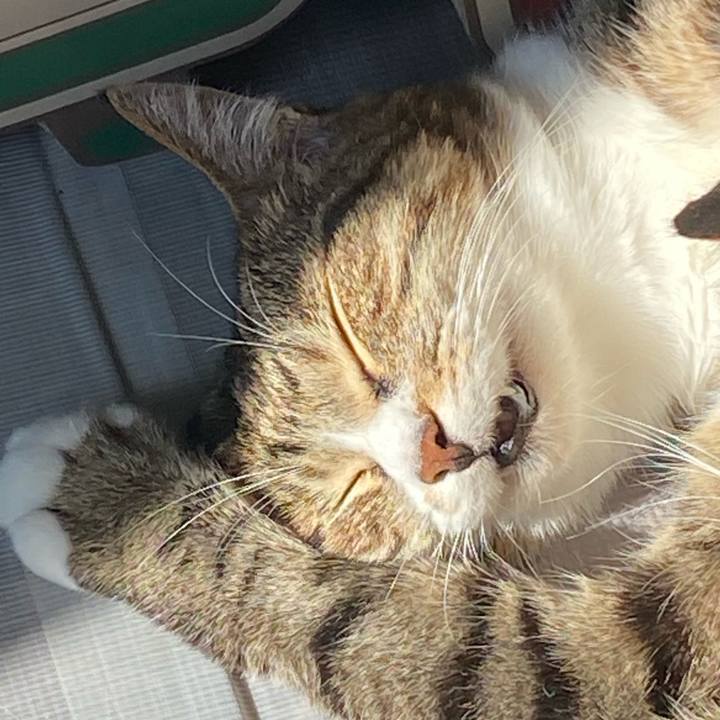 2c588a31 96e1 4db0 8d98 0f124c31897a 1638235091340