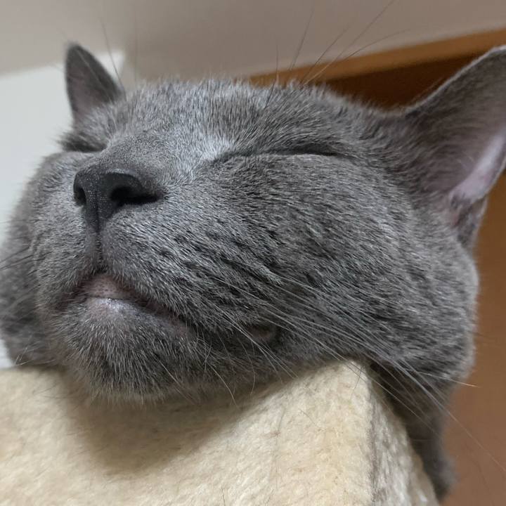 2c588dfa 00b9 423b 8c86 c41cc5b4aea6 1663388534319