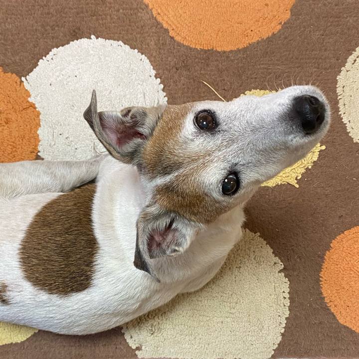 2c589821 13f4 4012 b4ec 9119bf23e329 1598826527781