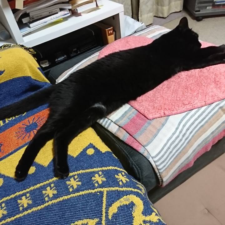 2c58bfc8 bfdf 44e6 9b6b d8e1235ee519 1528799589953