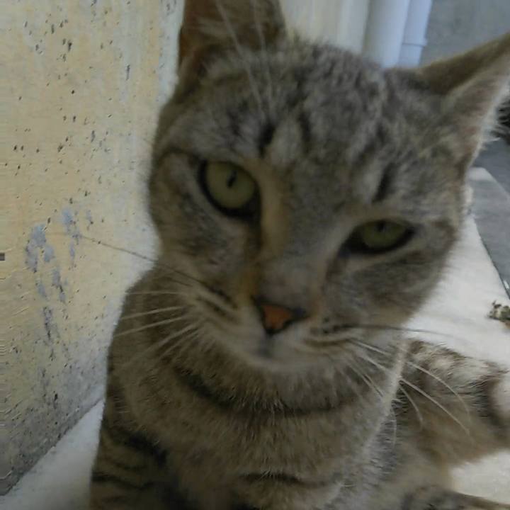 2c58d9c8 8535 49d1 b973 dceb010d94ff 1527412743817