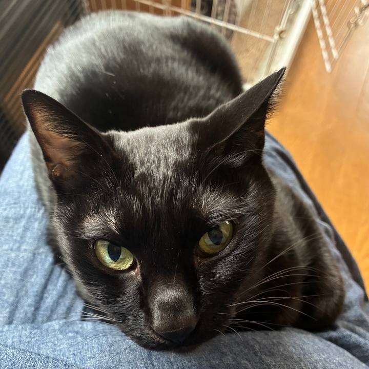 2c58da4d 7163 45ac 875b 1375a86c4413 1762050606823