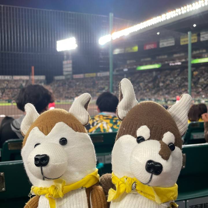 2c59010e 9f9b 4328 bf5a 40b6bf4a705e 1684495079138