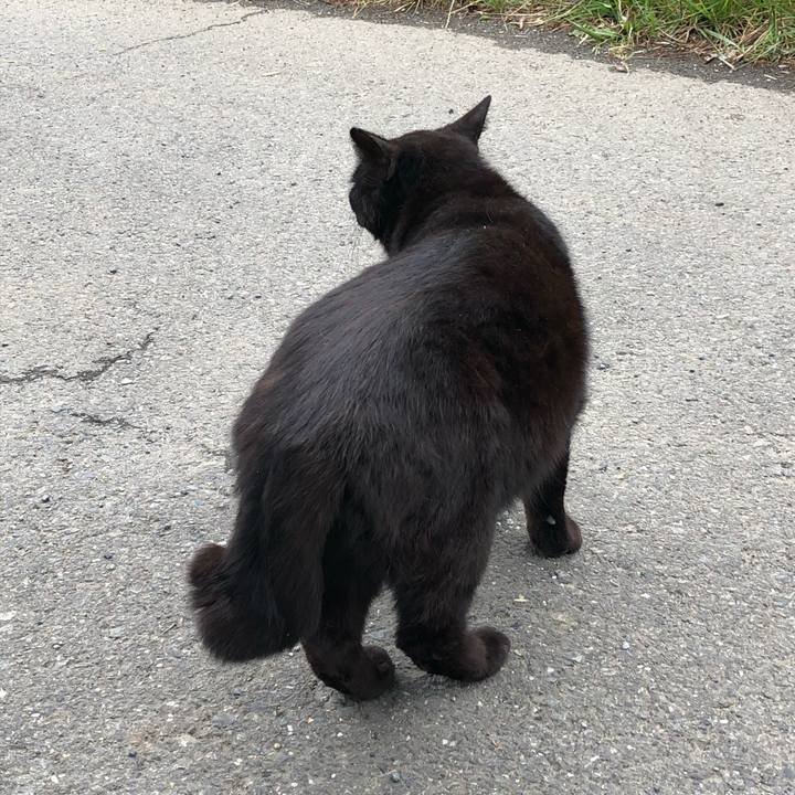 2c590d08 9c2d 4056 a3e8 055713f639c8 1525953137520