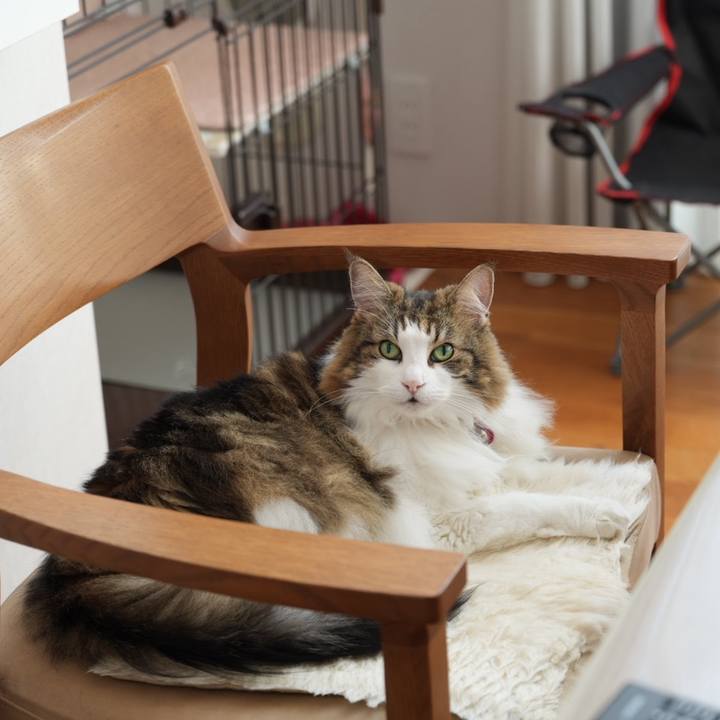 2c590d1a c478 4a29 8191 5b30dedeacbc 1728732911057