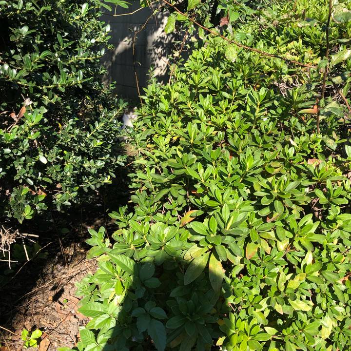 2c597fbe ac91 4f86 bccf 1675c1f783c3 1542311247112