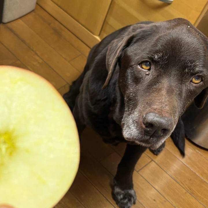 2c59fee9 e678 4dbe 9690 46df62a62122 1770730461253