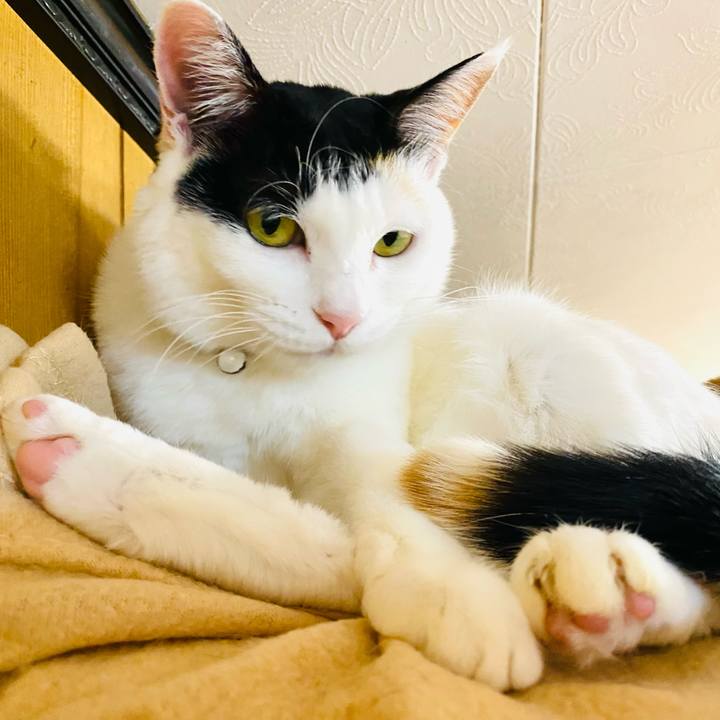 2c5a0de7 317c 4161 a560 6c1d167cb9f8 1673096525696