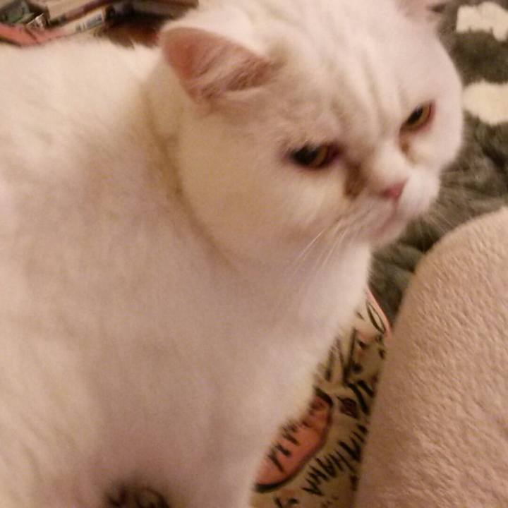 2c5a1028 3679 4de7 bf55 d863e942ecf7 1513630312048