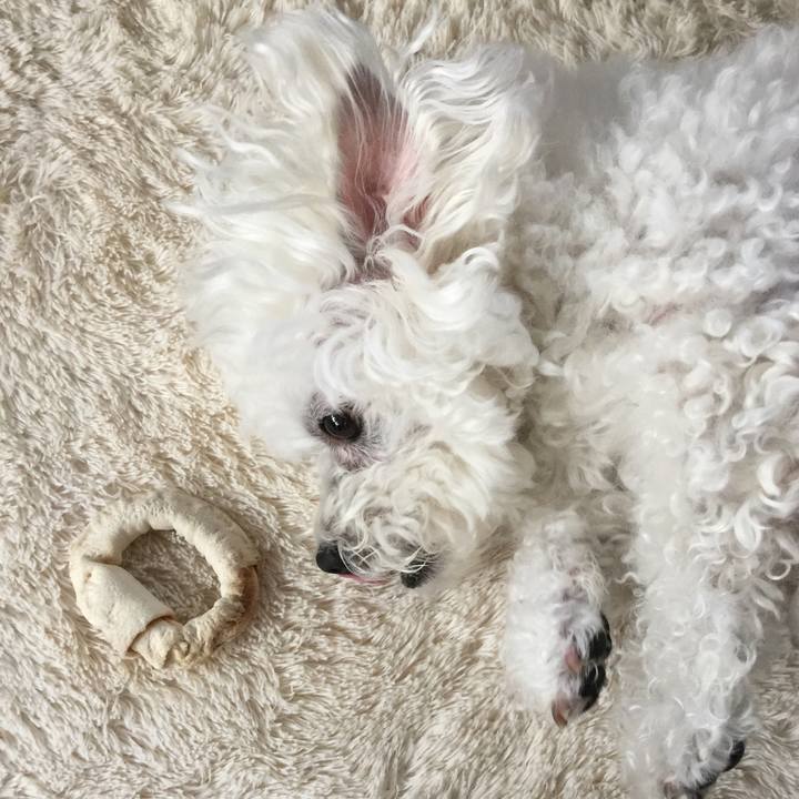 2c5a1491 023f 4728 b870 2e083e8eaa15 1544052769216