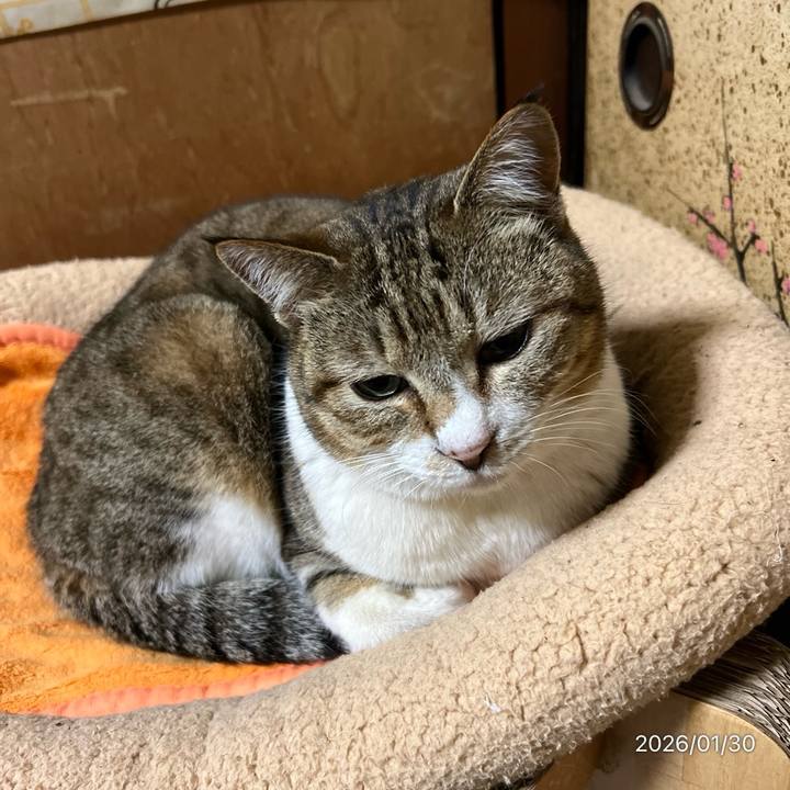 2c5a334e 4f27 44d9 adb7 1c48c27deb0d 1769724106010