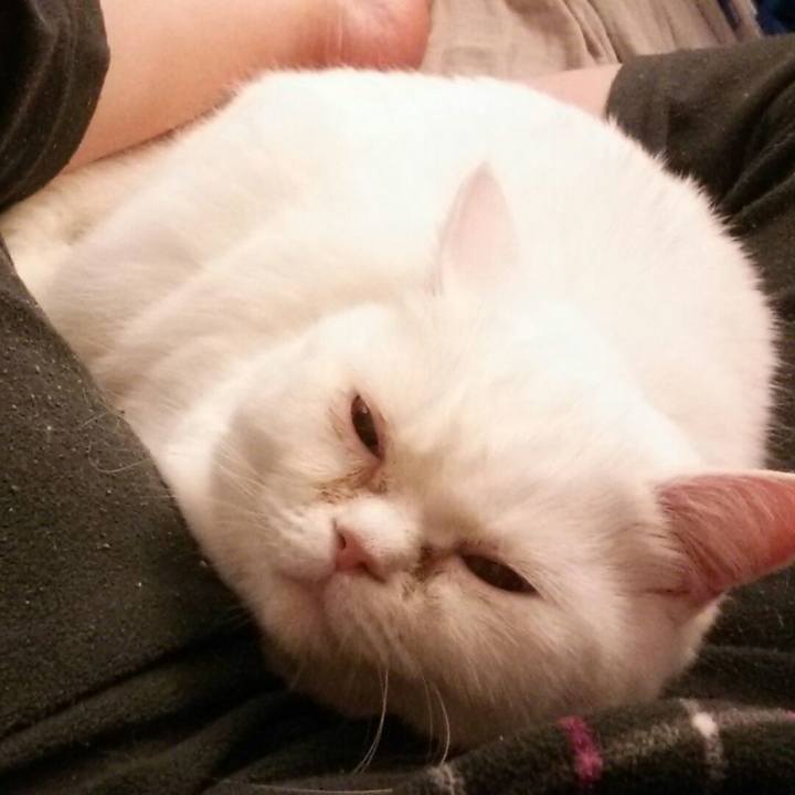 2c5a4f70 9801 48bf be56 9d9678539515 1508555673319