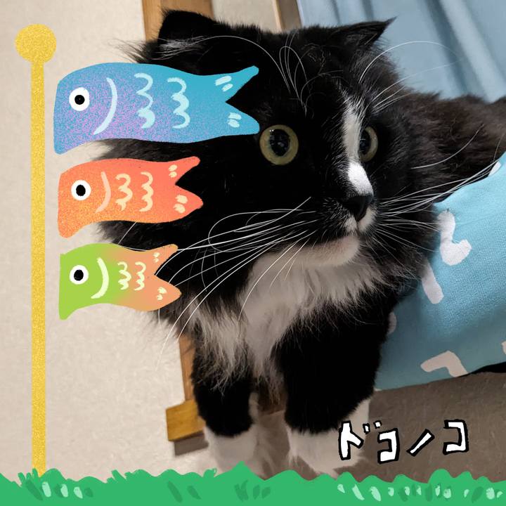 2c5a58c2 5388 4c24 aa57 c108d1613df3 1714884629869