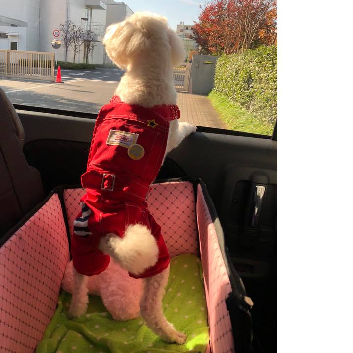 2c5b03c5 fb81 4a8a 8fa2 3922026d7eff 1542456420827