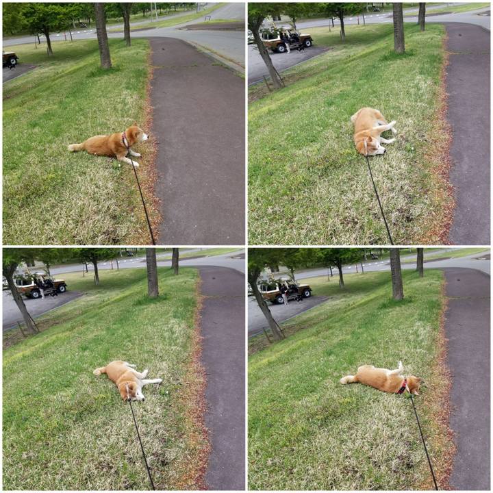 2c5b168f 8b43 4664 b15f a7768be65cf6 1714374278635