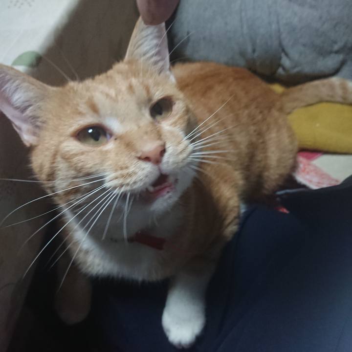 2c5b3247 bfc4 4f6e 96d5 027d45faffe5 1572311153521