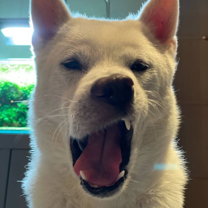 2c5b72c4 6434 428e a123 52f43d0dfe68 1696504834465