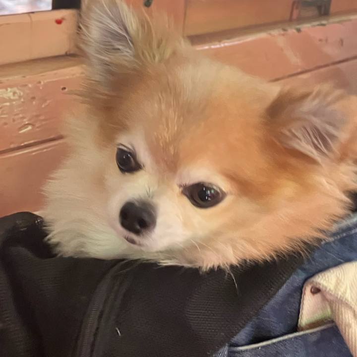 2c5b7419 3df3 42d0 b4bc 805995ec7866 1756684408683