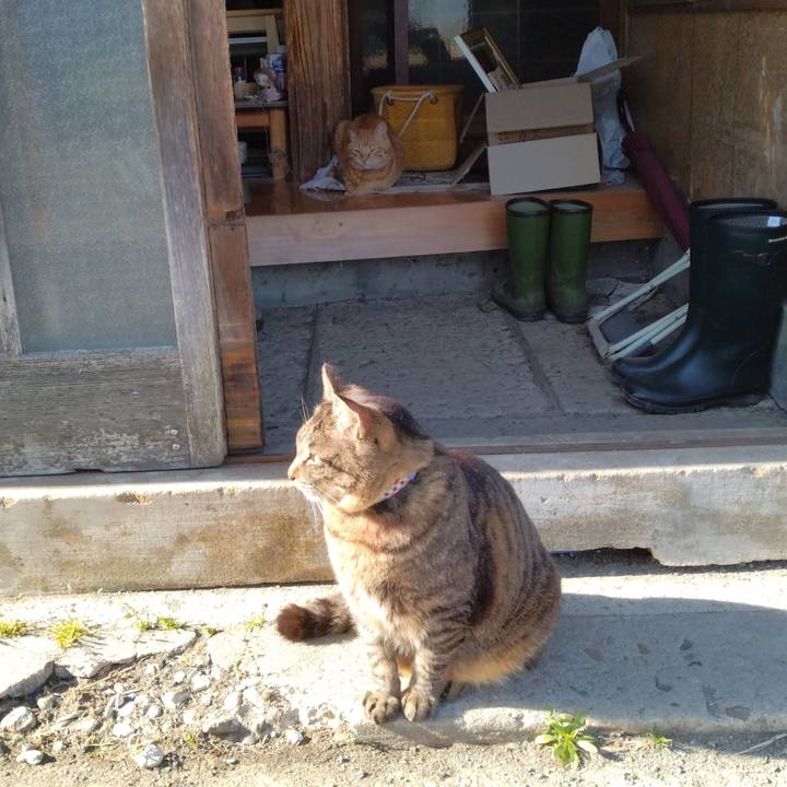 2c5b939f 9702 4ff9 a188 cb279d0bb94c 1681888379670