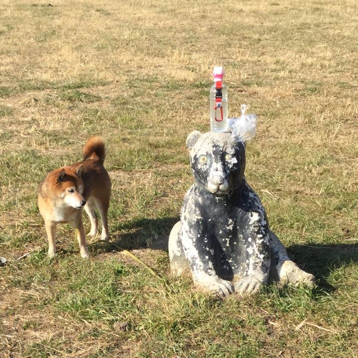 2c5bb7ee 8fb3 419b a238 e998f56300ff 1609994481788