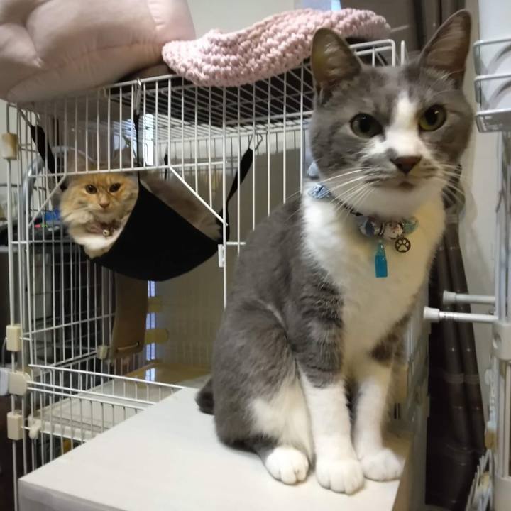 2c5bd1bf 9310 4c5f 8a57 8c969720ce3c 1667558158905