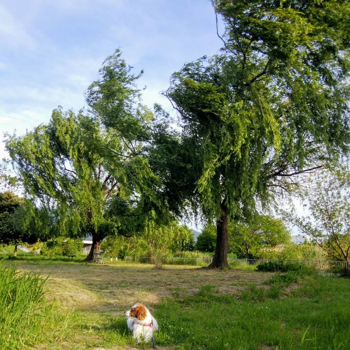 2c5bd752 45cf 44fd 94ad bcdac7664ada 1558256776048