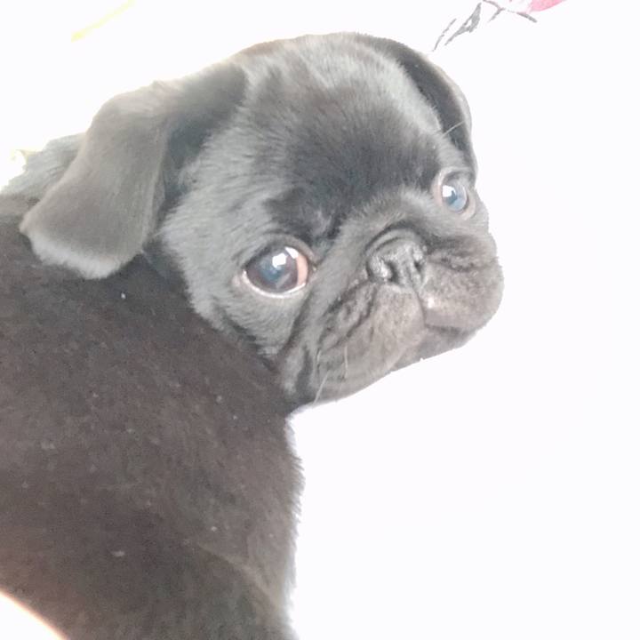 2c5bf1da f7d7 4521 b747 48bbab80a8bd 1588549543314