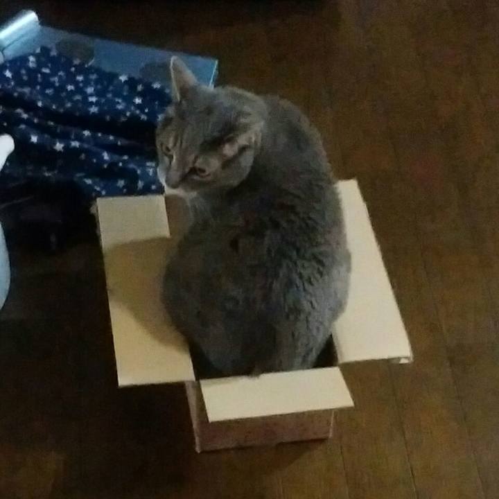 2c5c0aaf 5037 4189 8830 73add823da23 1524889547155