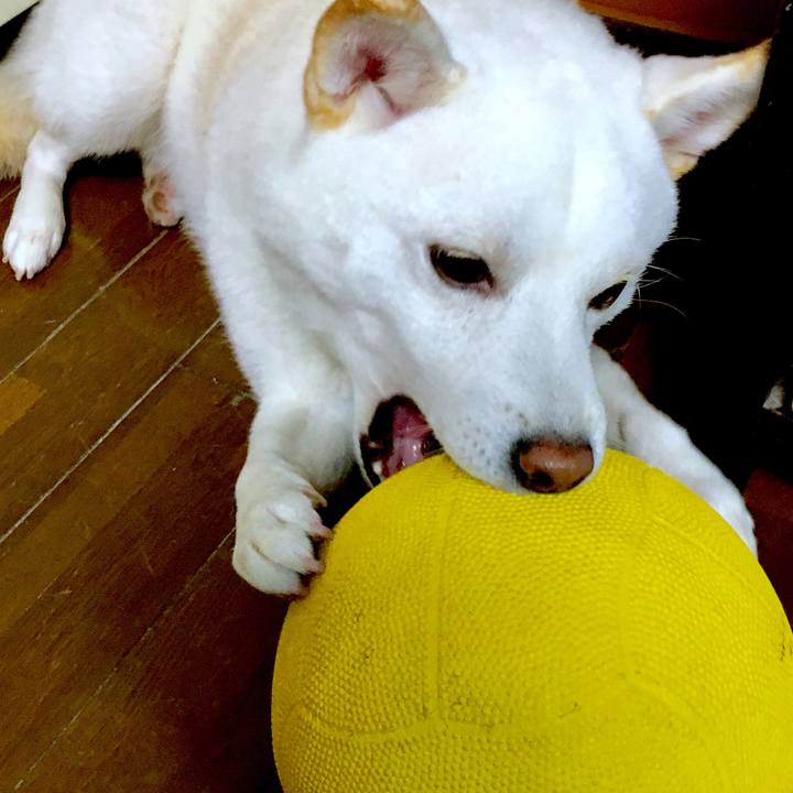 2c5c6dcd 8c8f 4d8f b298 b4a15048fcc4 1510761561779