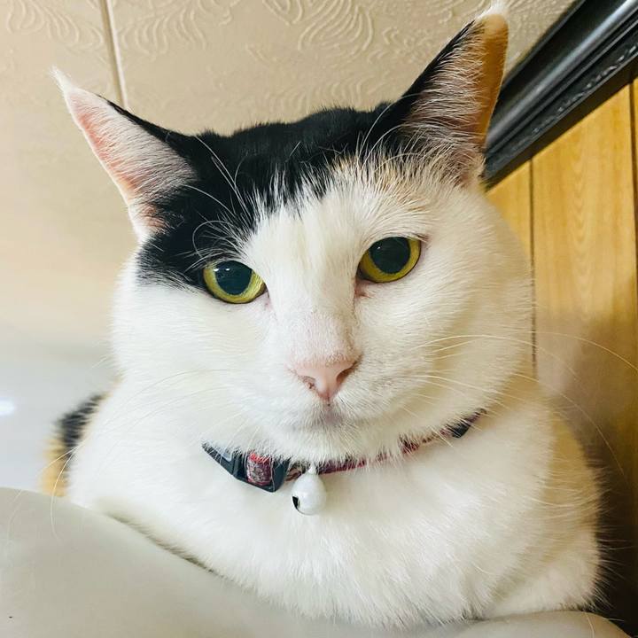 2c5ca071 e393 4a03 b4db 7e71300860b3 1686316998171