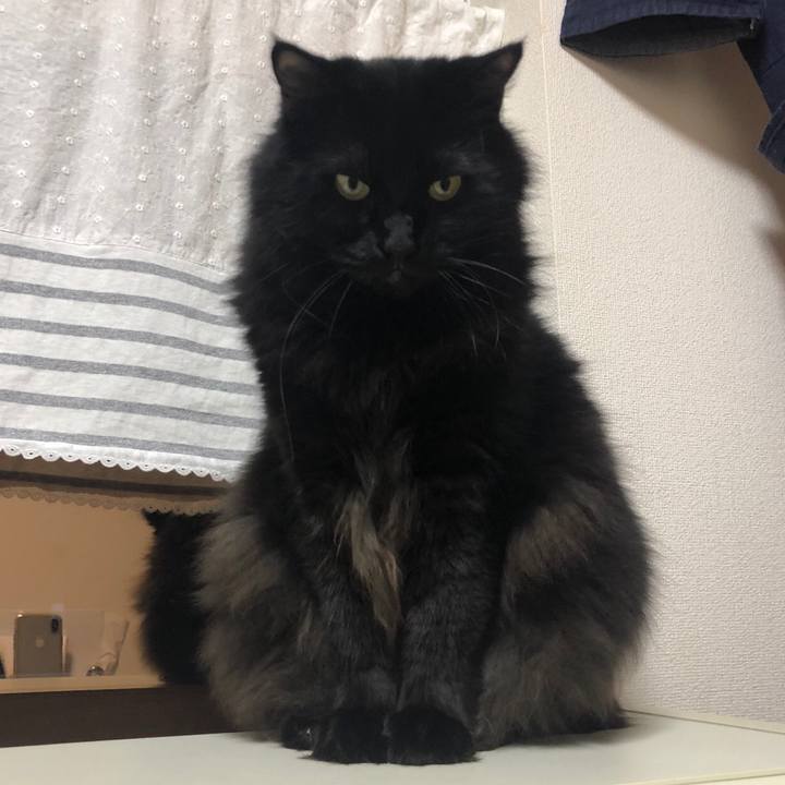 2c5caac5 7f59 420d 8781 a79c012645c8 1541282016823