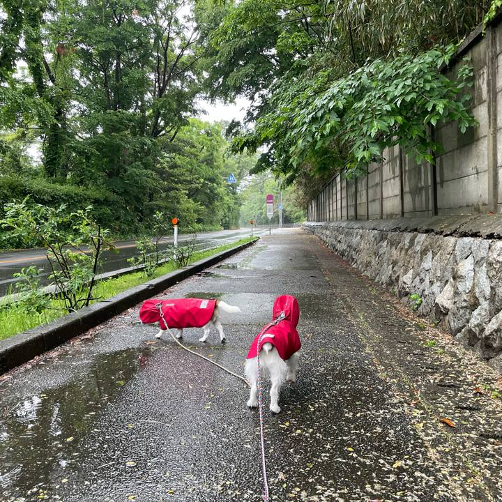 2c5cd6ce e39f 46b1 9bb2 7e02b30c0094 1685316970002