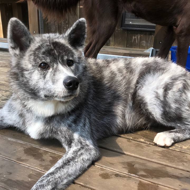 2c5ce576 f51d 4712 a316 7d377e06fe2a 1586060175001