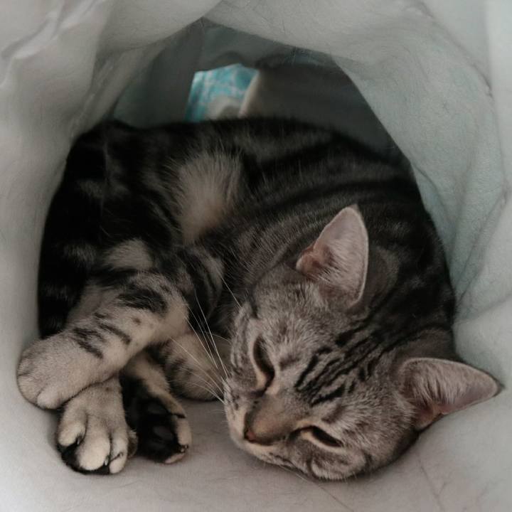 2c5d2f15 e58a 4d2e 9455 3dba117c315f 1604799437480