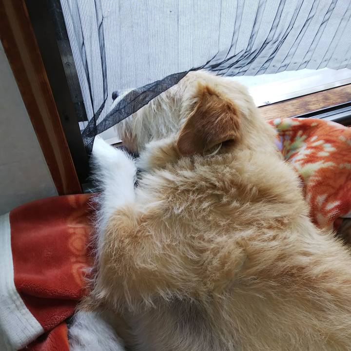 2c5d85e8 4a8d 4dbc aba4 4cdfe583e39b 1559276799106