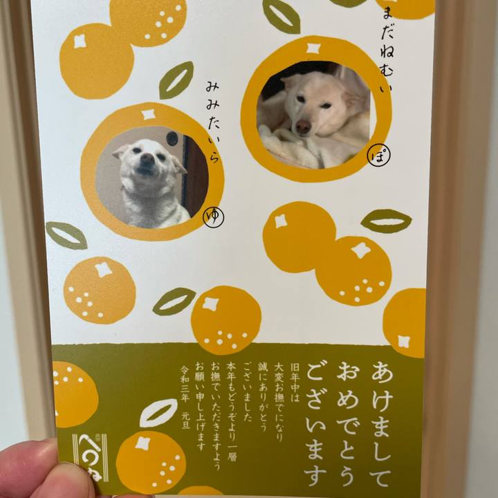 2c5d87e3 d4fe 4f3d a7ae d170a652a09b 1609675550949