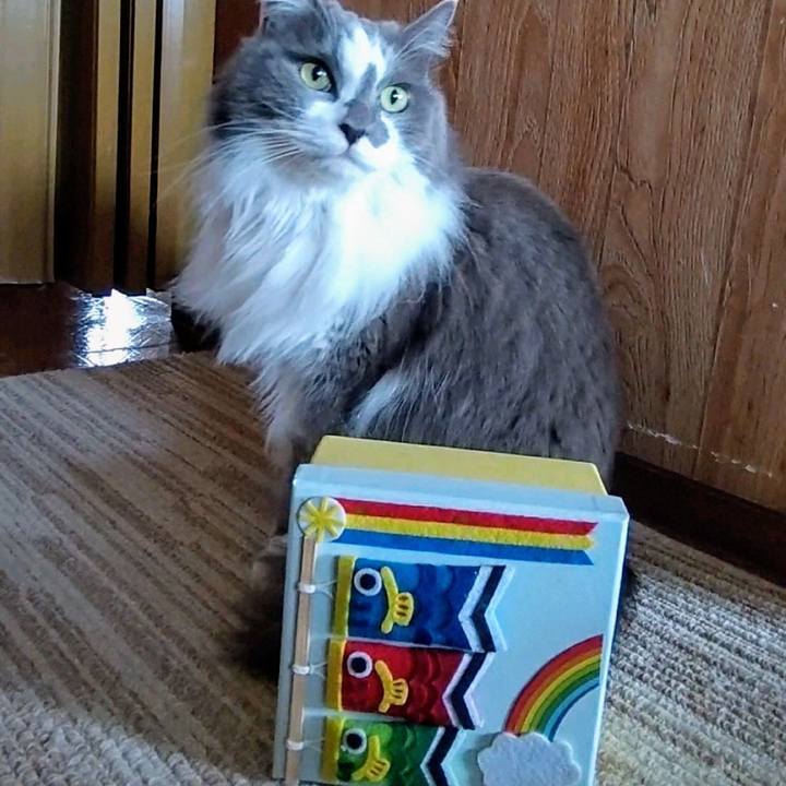 2c5da37f a9db 44ab b4f7 d068b752c1bf 1746339838716