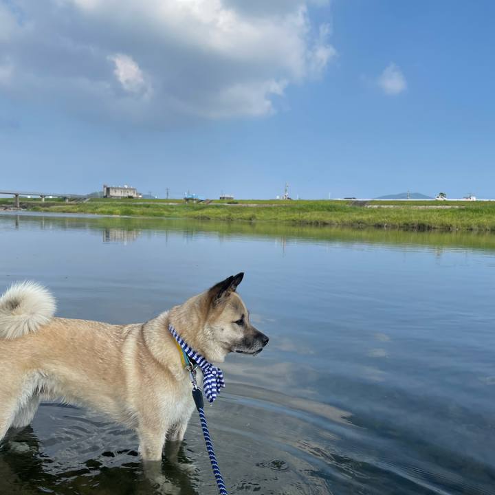 2c5dde59 55a0 481f 965f 64e482d96e98 1657370598333