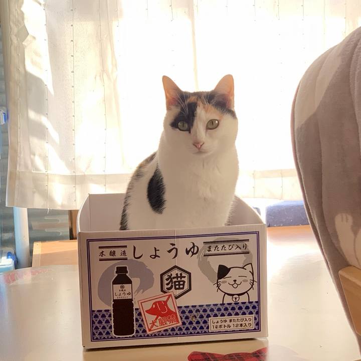 2c5e0166 dc2b 41b4 8c44 67ff17c488e2 1545529968512