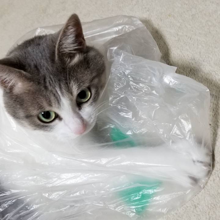 2c5e0e4d bfa2 4049 b282 ac42c22f68d7 1547723906312