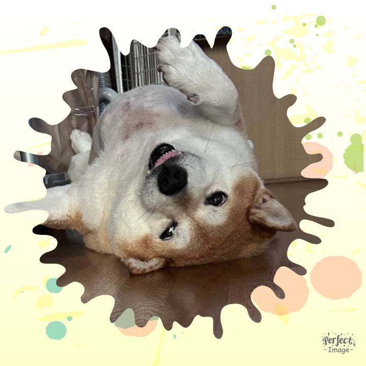 2c5e159d 257d 4479 8145 305ec75b42ca 1726970617636