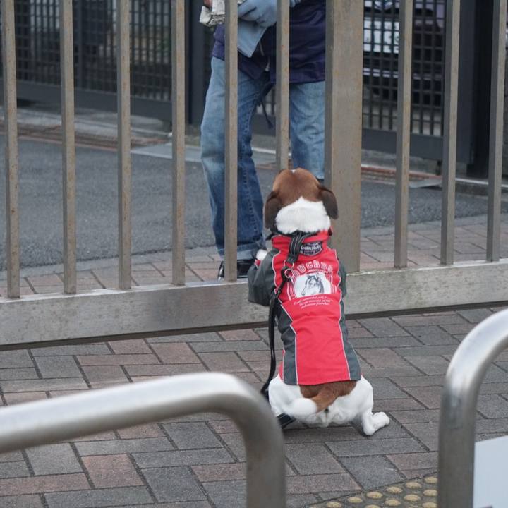 2c5e3e9e 474f 46a0 ace7 5505f59a9218 1516147448220